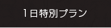 1日特別プラン