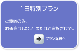 1日特別プラン